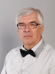 Prof. Alex Kozulin